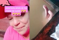 Vídeo: mulher é surpreendida por boto rosa enquanto lava a louça em pia “improvisada”