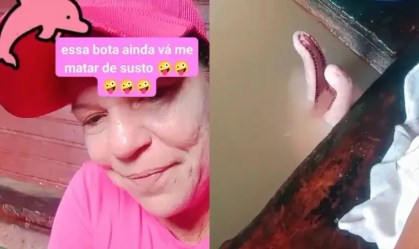 Vídeo: mulher é surpreendida por boto rosa enquanto lava a louça em pia "improvisada"