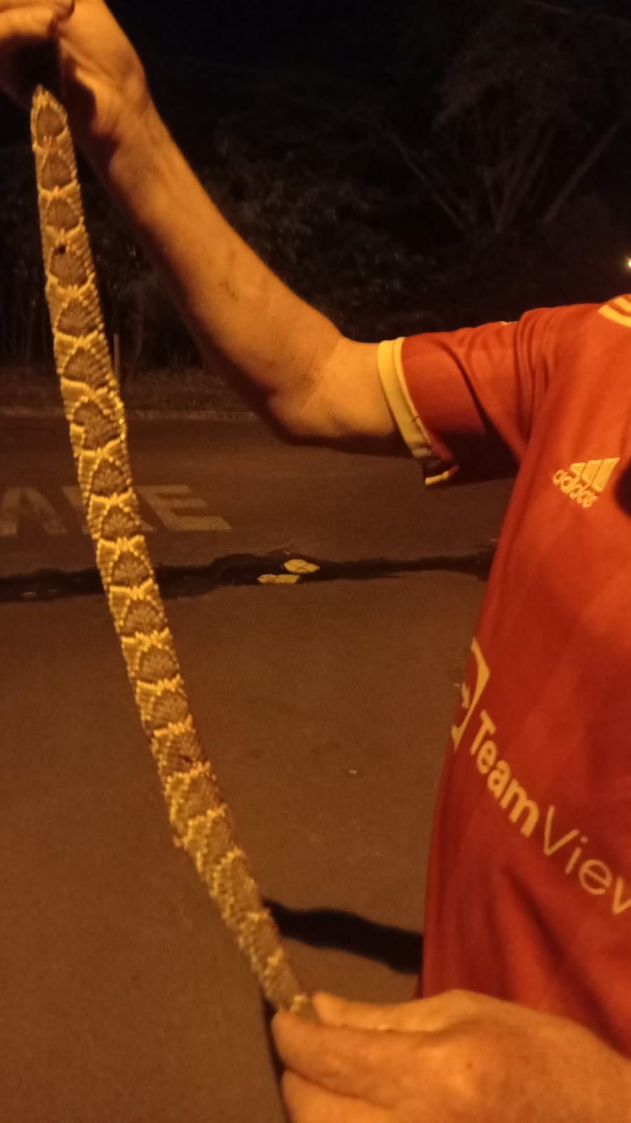 Pai do menino Gael com a cascavel morta que atacou o filho / Arquivo Pessoal