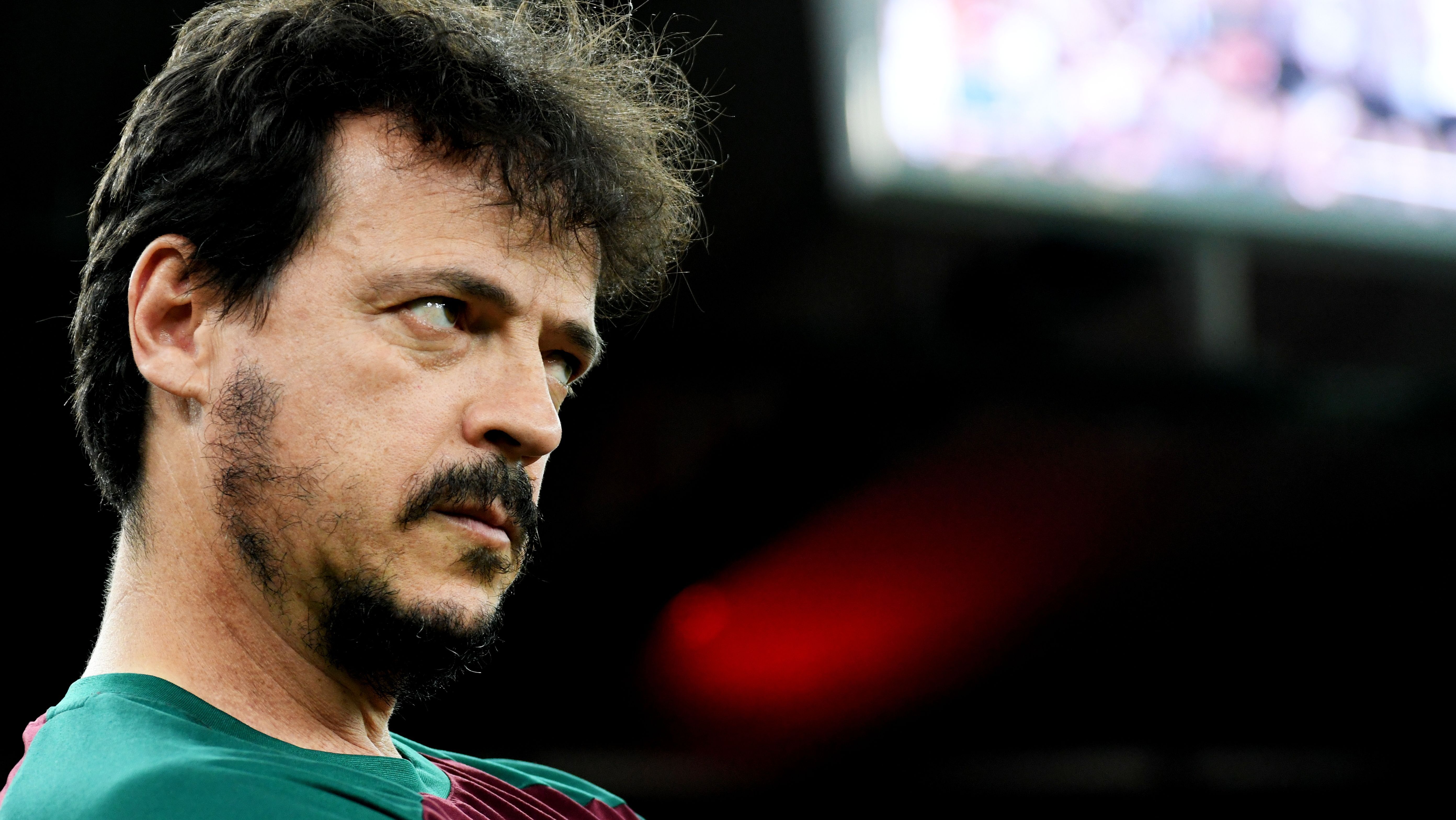 Fernando Diniz
