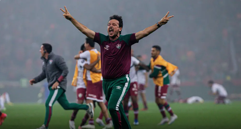 fernando diniz
