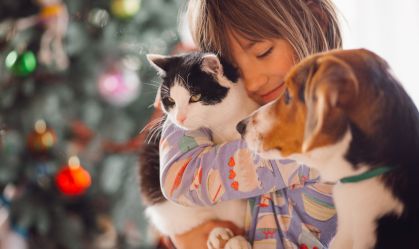 The pretty girl embarcing cat and dog