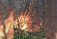 Bahia envia bombeiros e aeronaves para combater incêndio em parque histórico