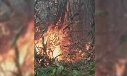 Bahia envia bombeiros e aeronaves para combater incêndio em parque histórico