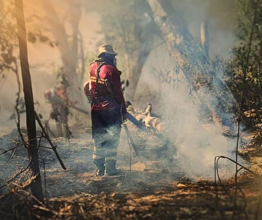 Bombeiro combate incêndio florestal no Pantanal do Mato Grosso do Sul