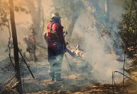 Áreas do Brasil podem ficar inabitáveis em 50 anos, segundo estudo da Nasa