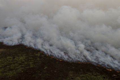 Incêndio florestal que atinge o Pantanal
