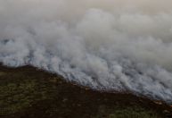 Fumaça de queimadas no Pantanal avança para SP, PR e SC