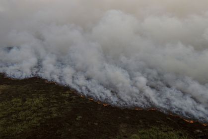 Incêndio florestal que atinge o Pantanal