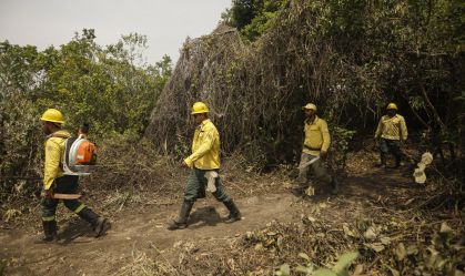 Equipes atuam no combate aos incêndios no Pantanal