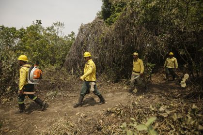 Equipes atuam no combate aos incêndios no Pantanal
