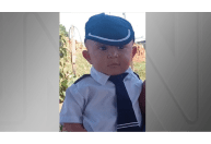 Menino de dois anos morre após ser picado por cascavel no interior de SP
