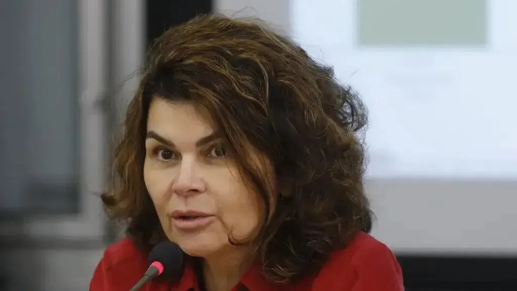 Diretora de Infraestrutura, Transição Energética e Mudança Climática do Banco Nacional de Desenvolvimento Econômico e Social (BNDES), Luciana Costa