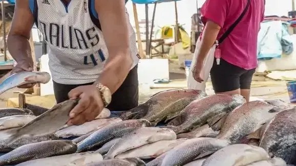 Marcos César Antonio, o Marcos do Pescado, vende peixes na região do Porto de Manaus