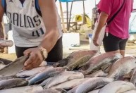 Alternativa aos EUA: pescadores apostam em China, Austrália e Oriente Médio