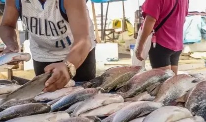 Alternativa aos EUA: pescadores apostam em China, Austrália e Oriente Médio