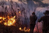 Governo prepara pacote ambiental contra queimadas para apresentar à ONU