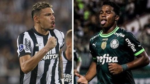 Palmeiras e Botafogo estão garantidos na Libertadores 2024
