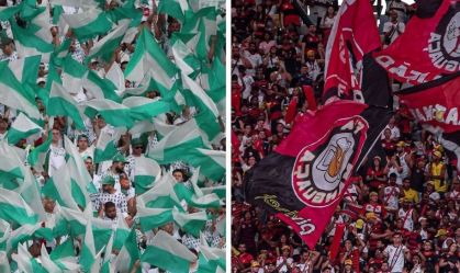 Saiba como o Palmeiras angariou o dobro de sócios-torcedores que o Flamengo