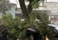 Chuva provoca queda de 120 árvores e desabamentos em São Paulo
