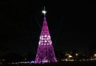 Árvore de Natal do Ibirapuera: horários e como fazer para ver