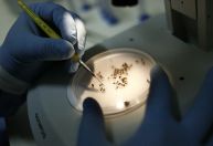 Defensoria no Rio vê falha na prevenção e cobra medidas contra dengue