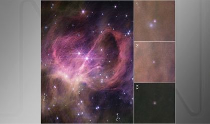 ESTRELA-ANA-MARROM