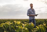 Agronegócio: os desafios e soluções diante às mudanças climáticas