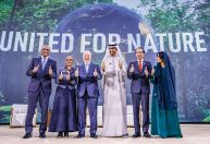 COP28: Marina Silva pede que fundos soberanos financiem conservação das florestas