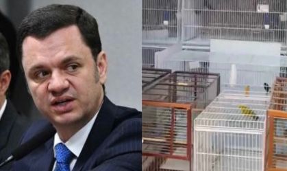 Pássaros apreendidos com Anderson Torres morrem no Ibama