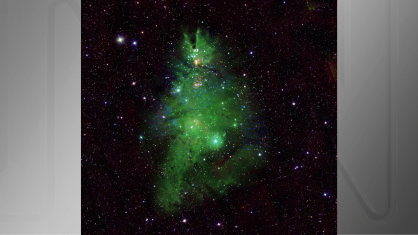 Um aglomerado de estrelas em formato de árvore de natal