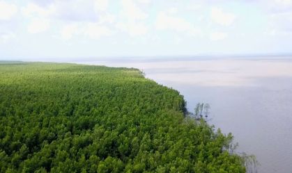 Premiê do Japão diz que desenvolvimento sustentável da Amazônia é objetivo importante