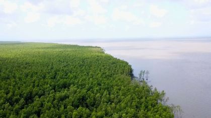 Anúncio foi feito em evento de sustentabilidade do BID