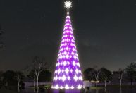 Parque Ibirapuera inaugura maior árvore de Natal de SP