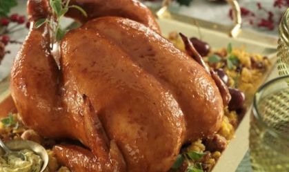 Fim do mistério: veja imagem de como é um Chester vivo