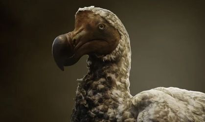 Empresa que "recria" animais extintos faz avanços em recuperação de ave