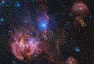 Nebulosa da Galinha Corredora surge deslumbrante no céu em nova imagem