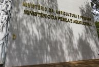 Ministério da Pesca abre inscrição para 264 vagas com salário de R$ 6.130; veja como se candidatar