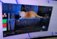 Nasa transmite vídeo de gato em mensagem de laser do espaço para a Terra