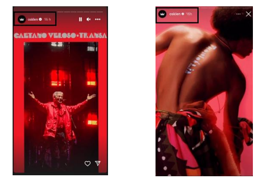 Imagens anexadas ao processo mostram stories do Instagram da marca com publicações do show de Caetano e da coleção de roupas. / Reprodução