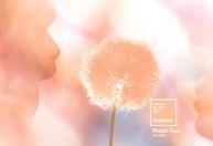 “Peach Fuzz”: Pantone anuncia a cor do ano de 2024
