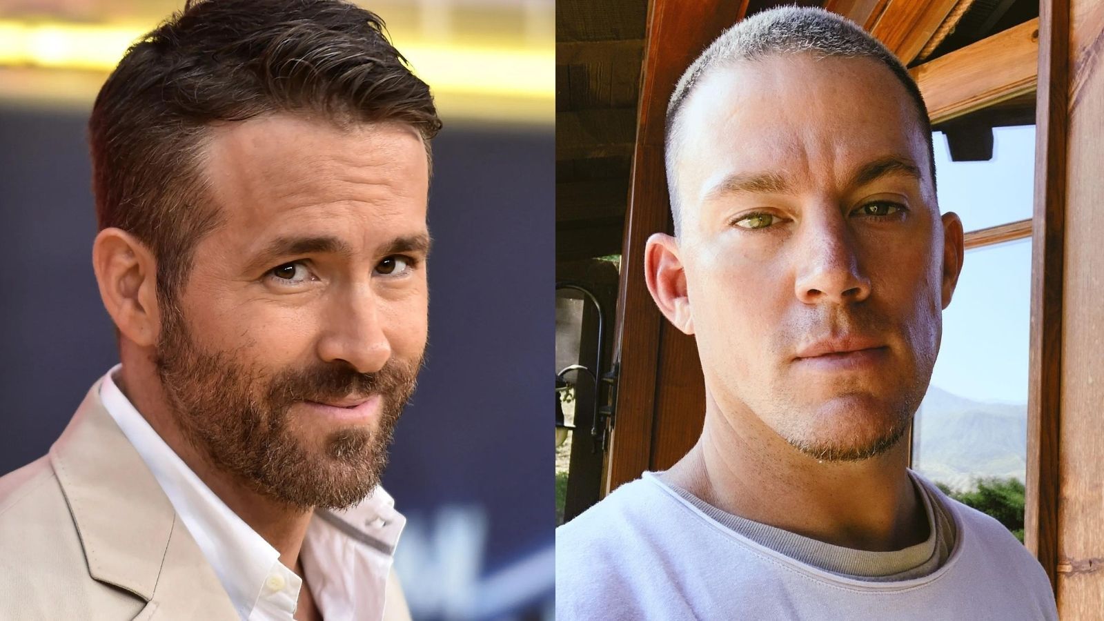 ryan reynolds e channing tatum