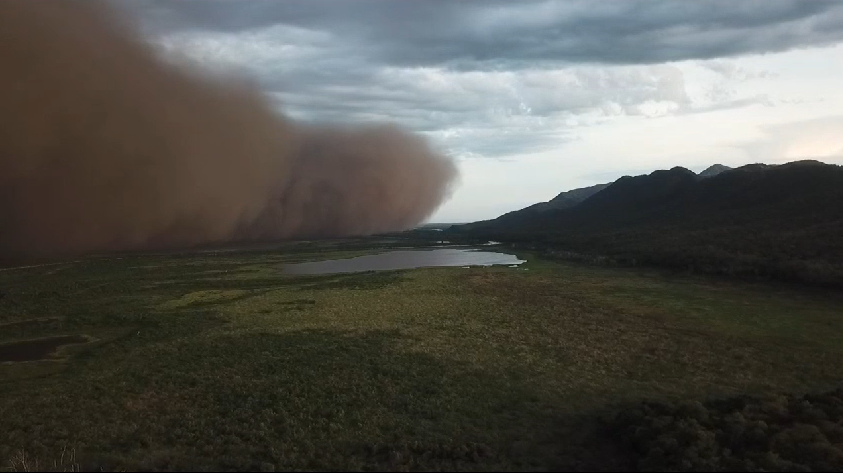 Tempestade de areia atingiu Pantanal na sexta-feira (29) / Reprodução