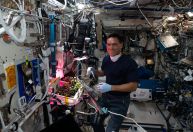 Tomate que astronauta perdeu no espaço foi finalmente encontrado