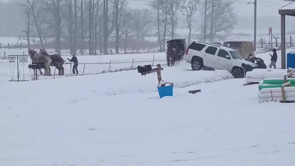 Amish horsepower gets stranded SUV back on road amid freezing weather