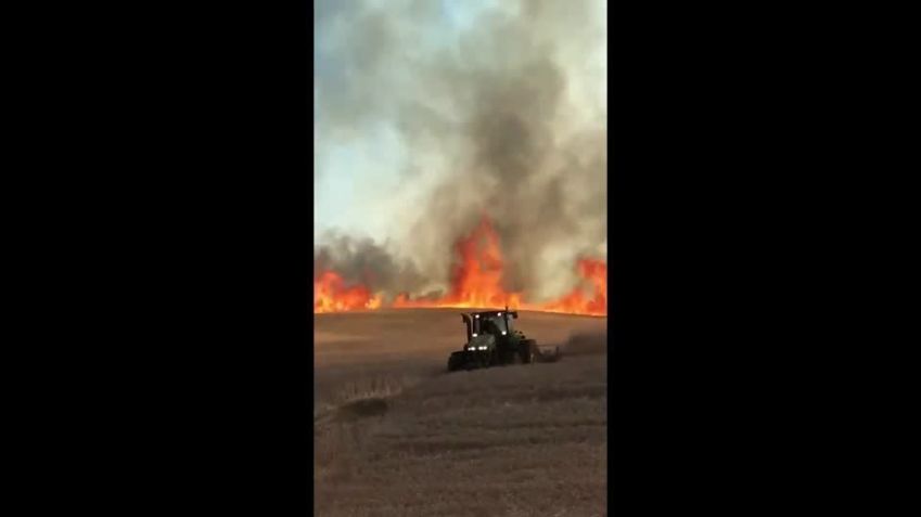 Chile está em alerta vermelho para incêndios florestais / REUTERS