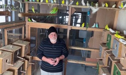 “Amigos emplumados”: Homem vive com 600 pássaros na Macedônia do Norte