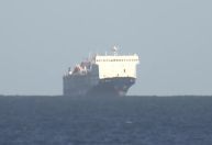 Navio com 16 mil animais é abandonado na costa da Austrália após ameaça de ataque Houthi