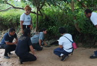 Quatro sítios arqueológicos com cerâmica são descobertos no Pará