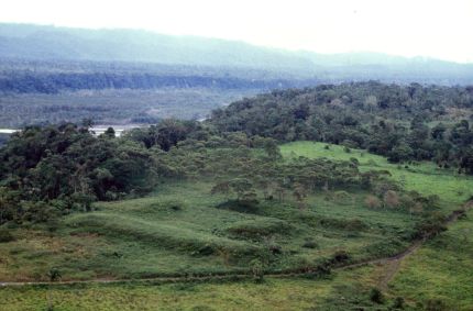 Complexo de plataformas retangulares de terra do sítio Nijiamanch ao longo da borda do penhasco do leito do rio Upano, Equador
